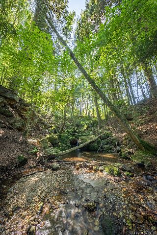 Gemeinde Stubenberg Landkreis Rottal-Inn Amering Ameringer Graben (Dirschl Johann) Deutschland PAN